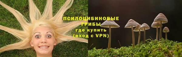 мдпв Балабаново
